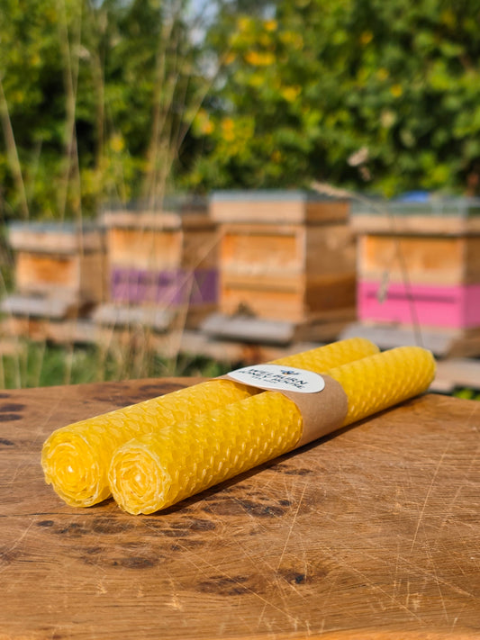 Beeswax Hand-Rolled Candles Yellow (2 pack)
