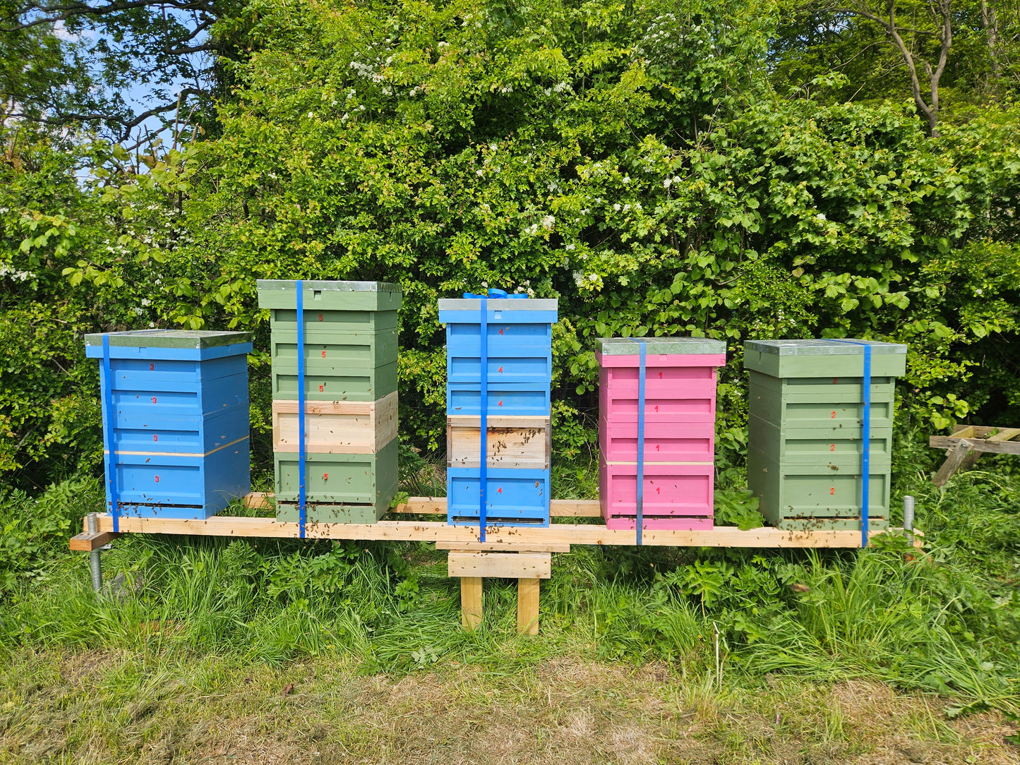 North Yorkshire Spring Set Honey (340g)