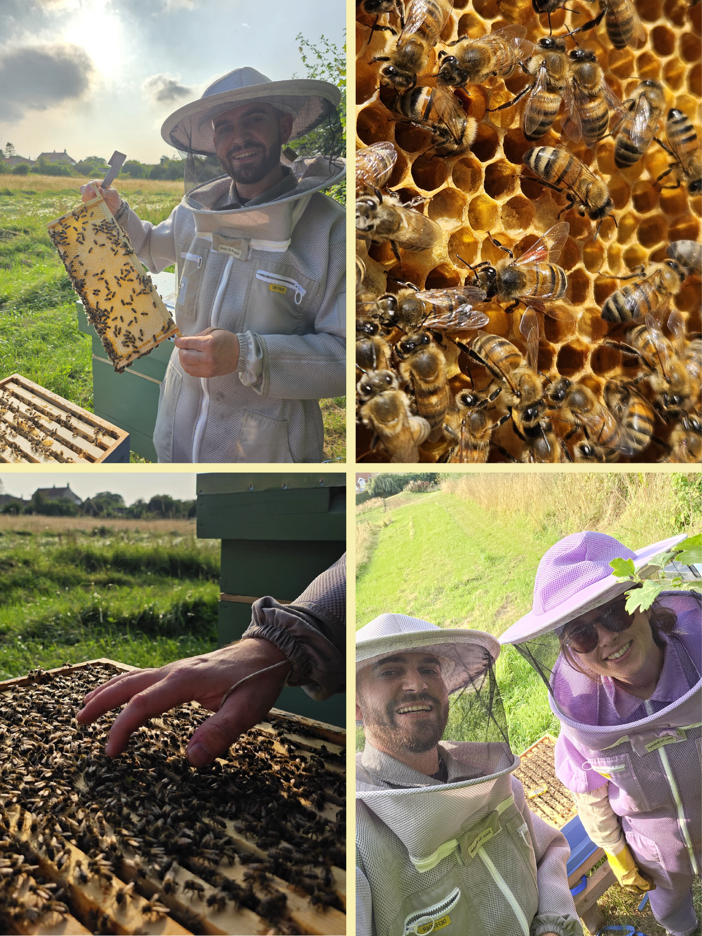 North Yorkshire Borage Runny Honey (340g)