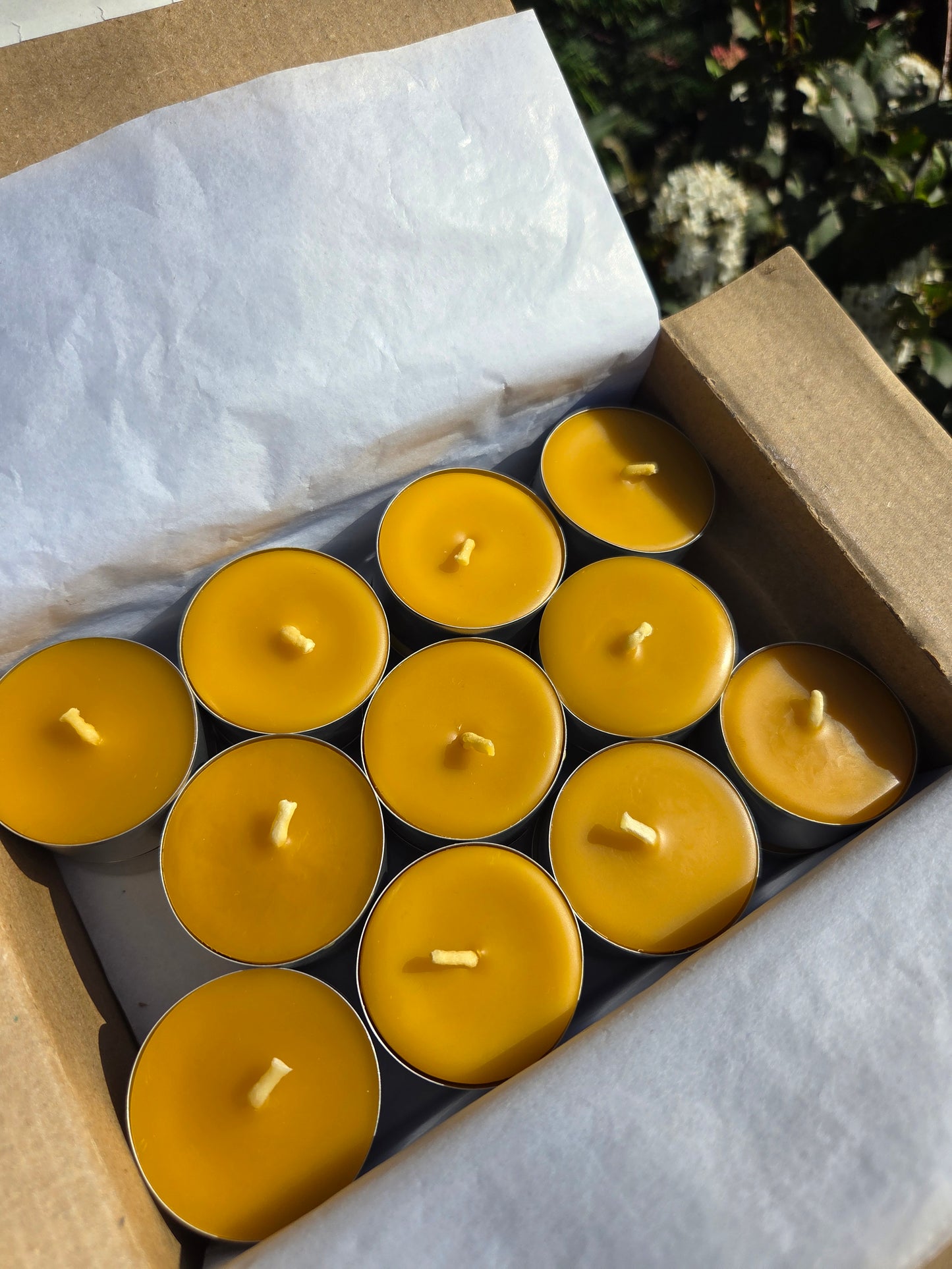 Beeswax Tealights