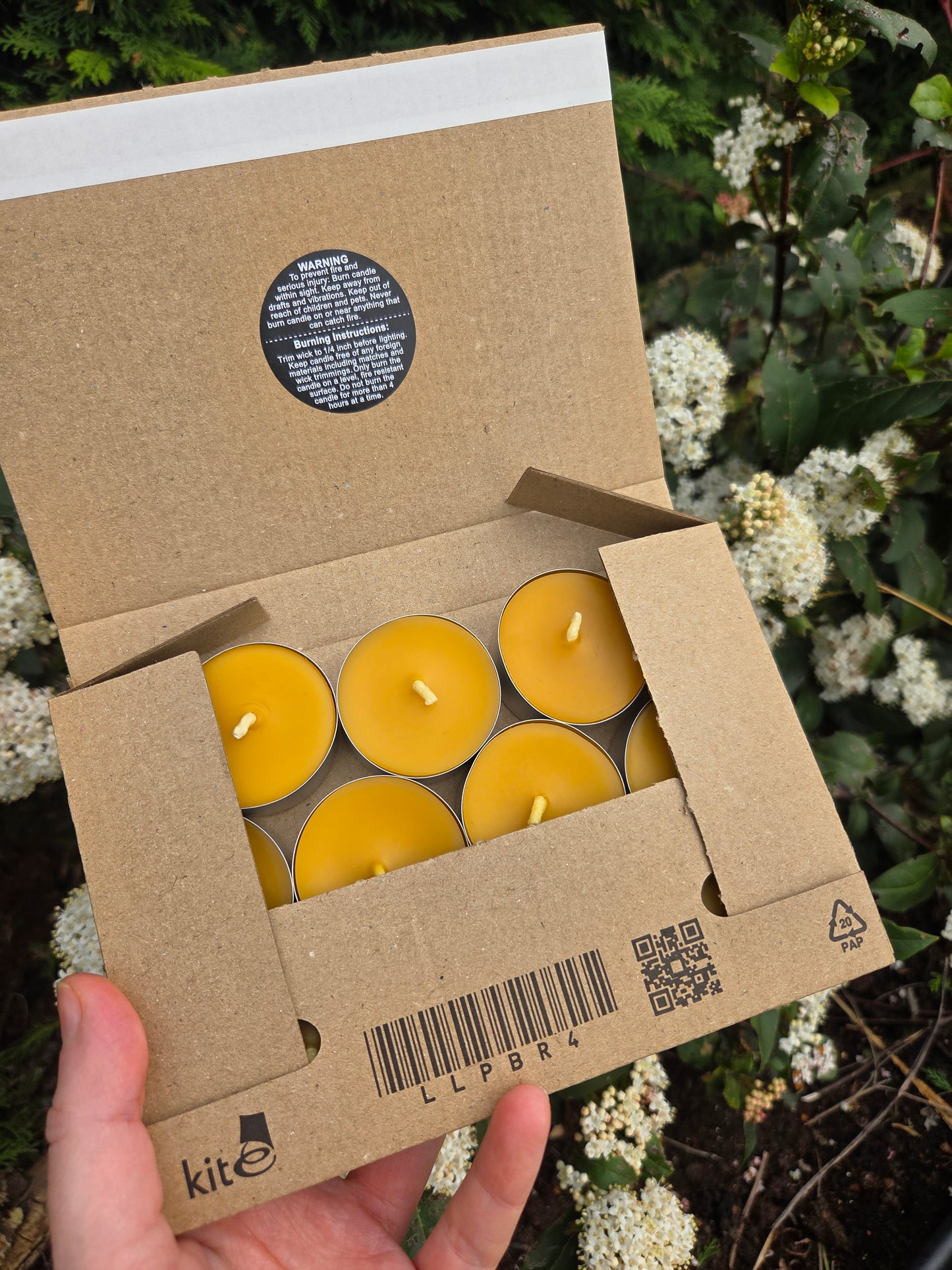 Beeswax Tealights