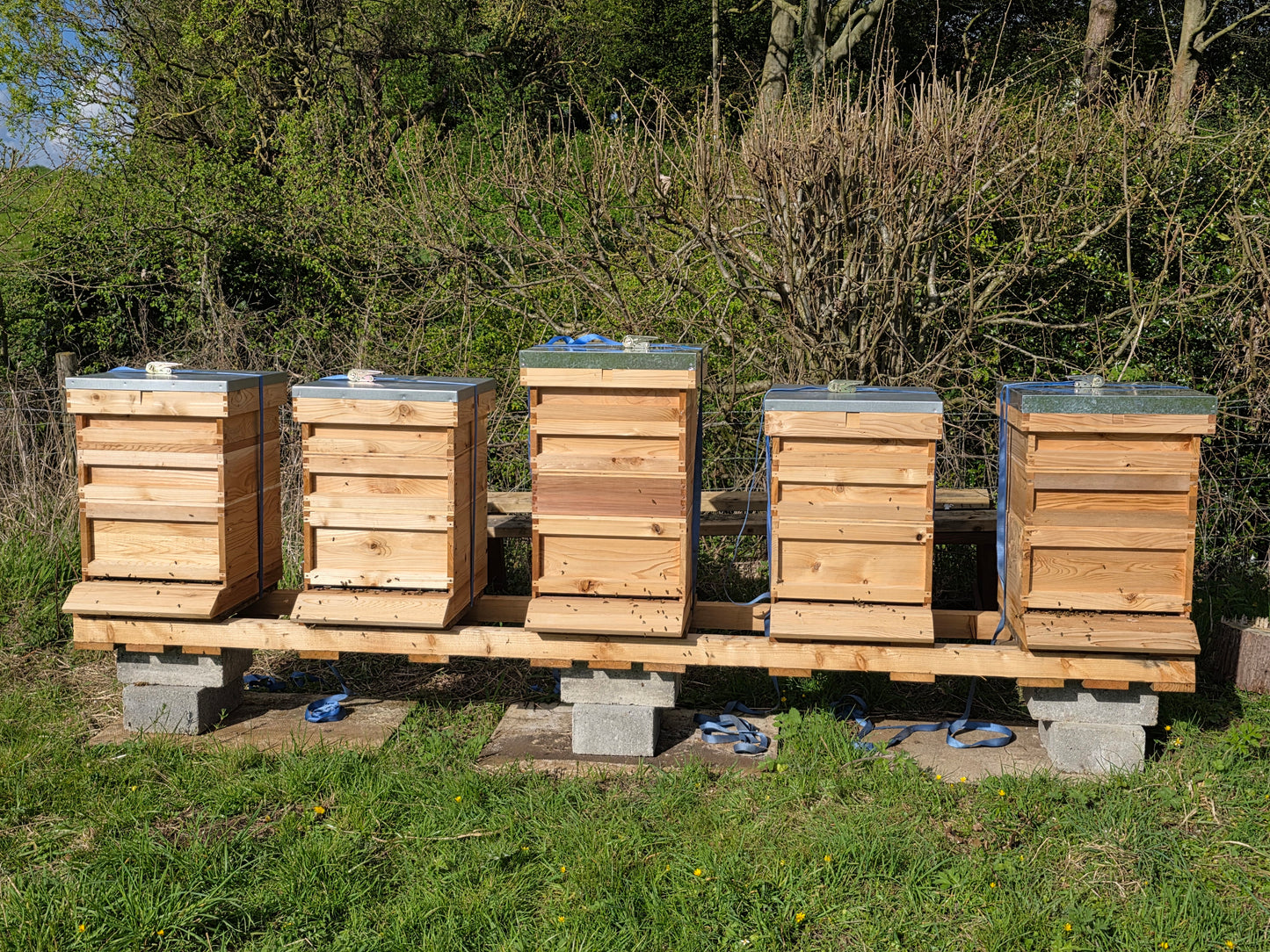 Hive Sponsorship