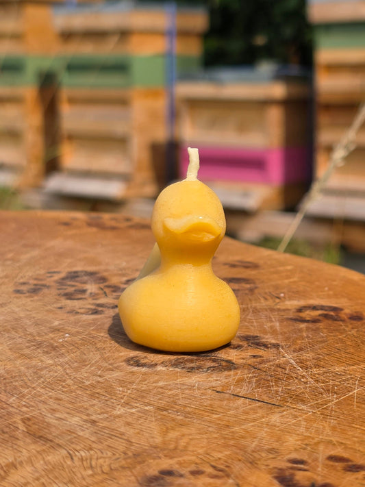 Beeswax Duck Candle