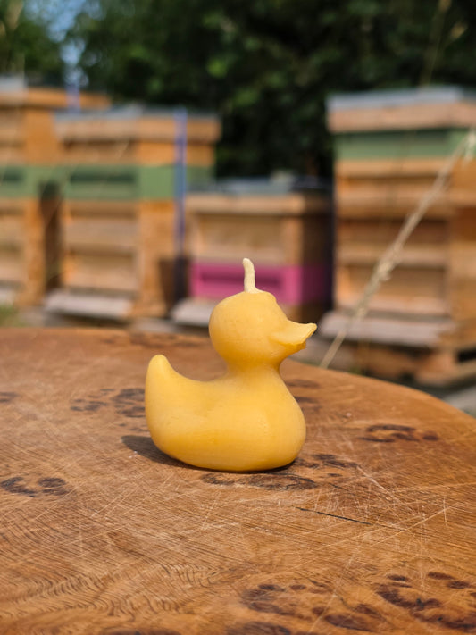 Beeswax Duck Candle