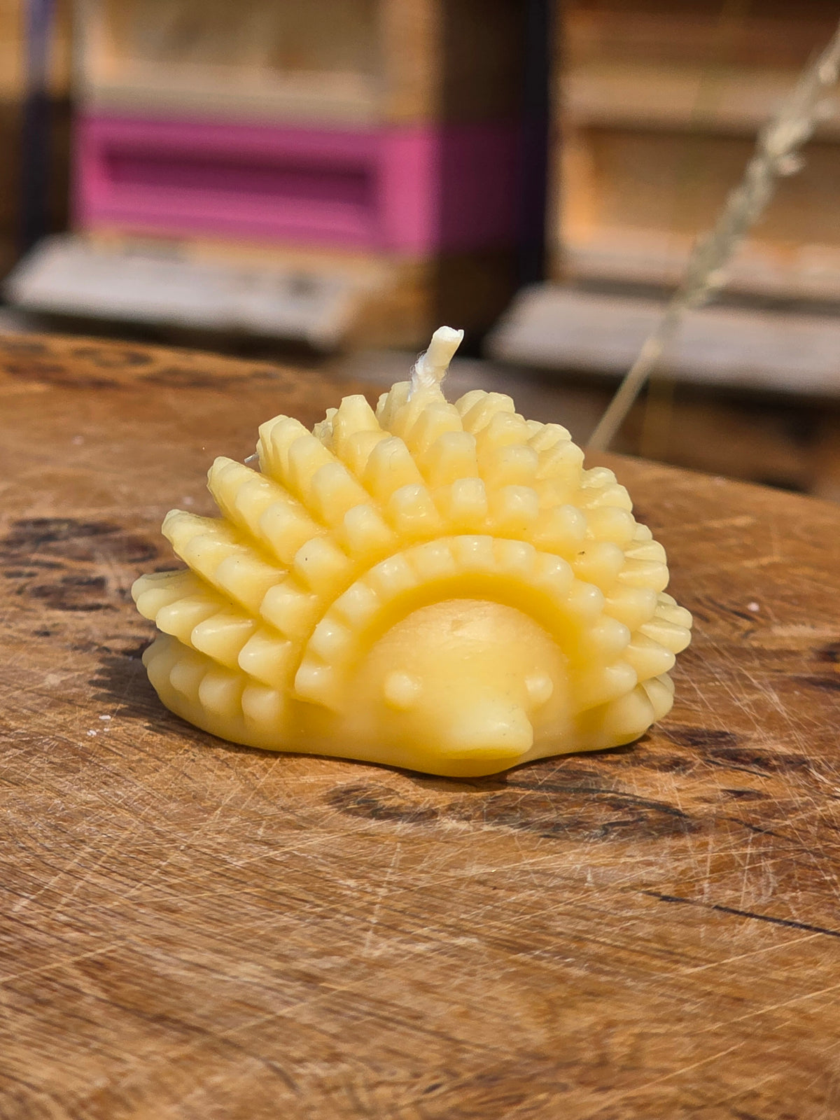 Beeswax Hedgehog Candle