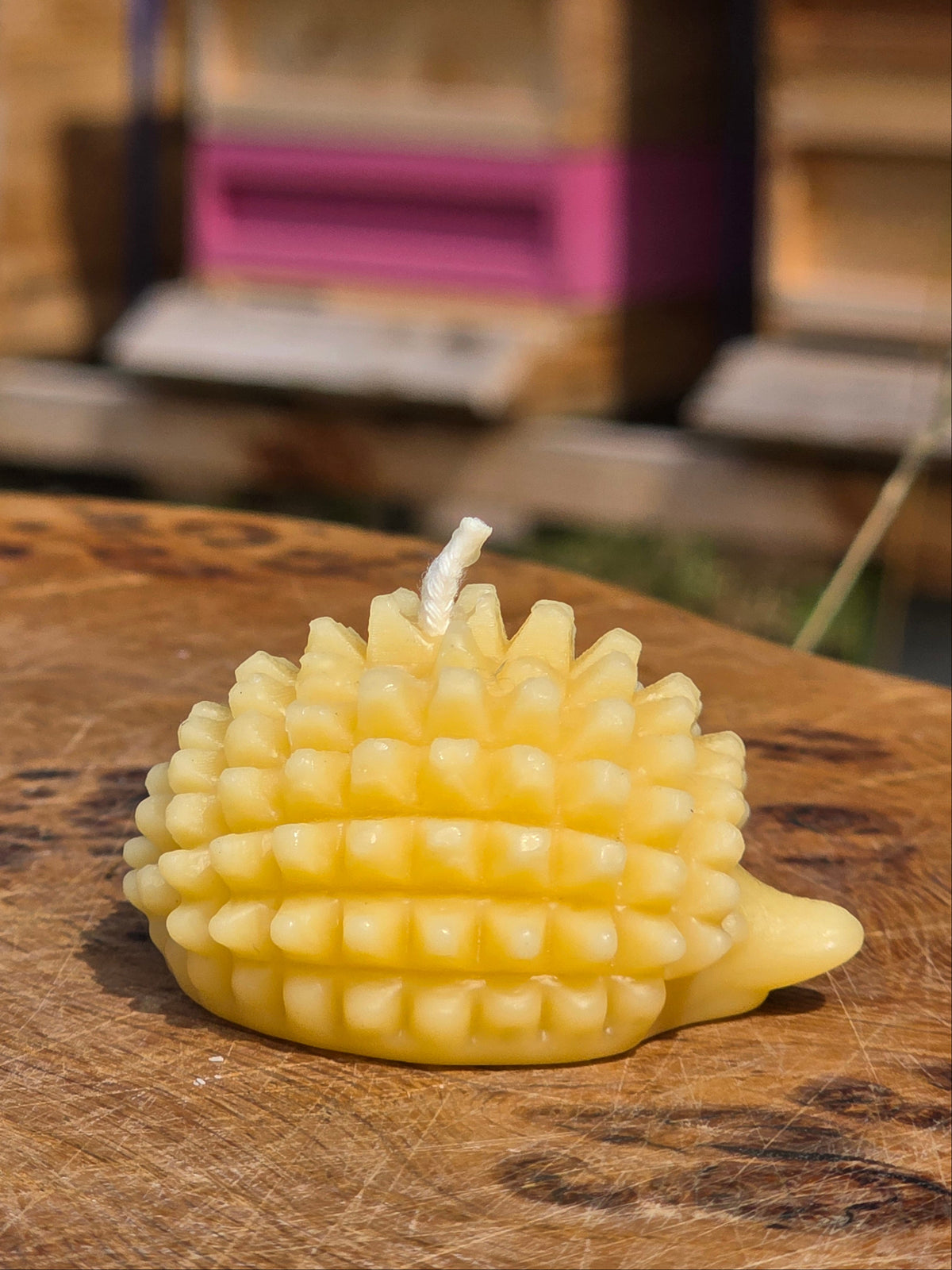 Beeswax Hedgehog Candle