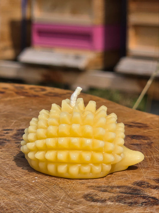 Beeswax Hedgehog Candle