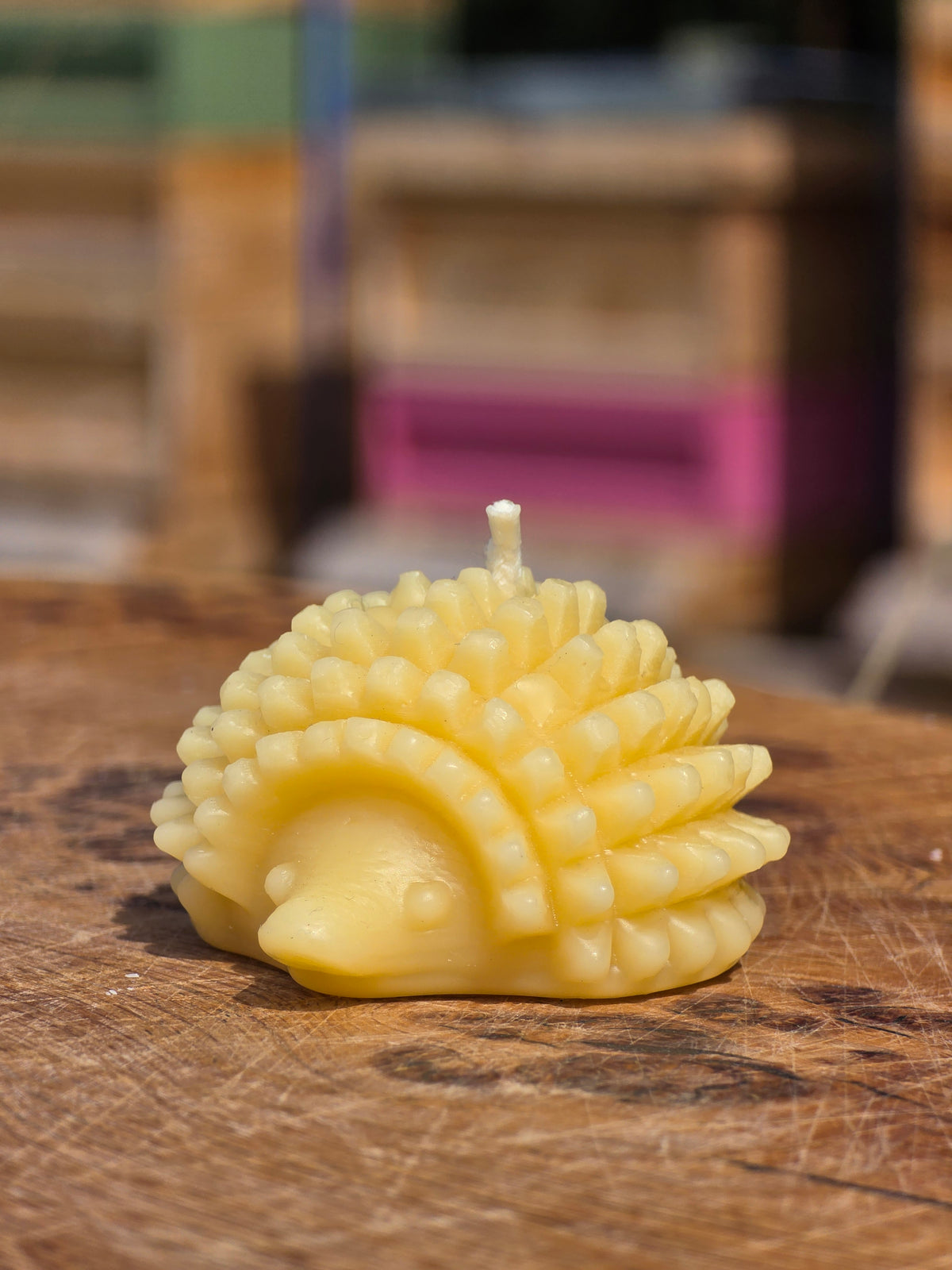 Beeswax Hedgehog Candle