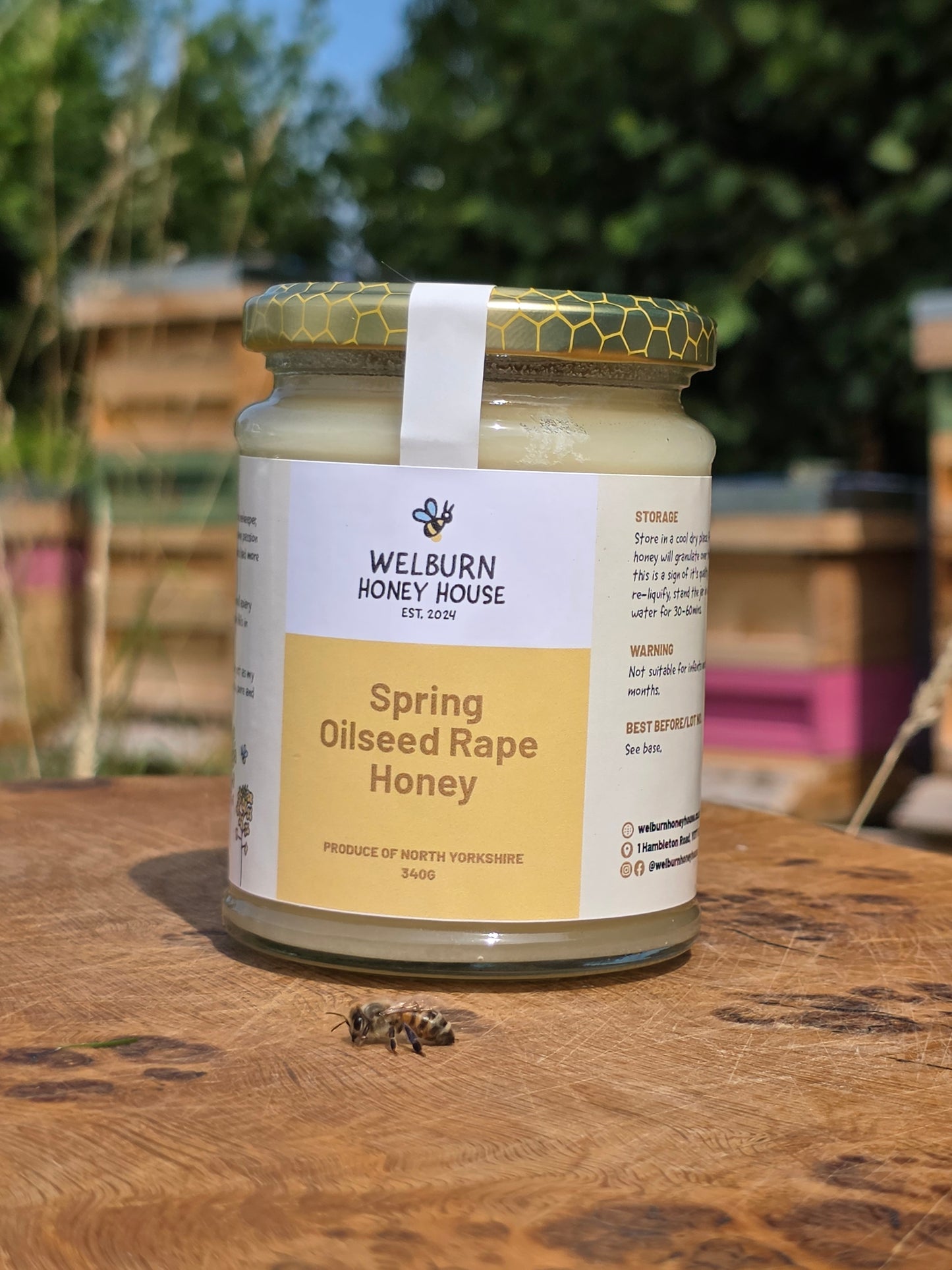 North Yorkshire Spring Oilseed Rape Honey (340g)