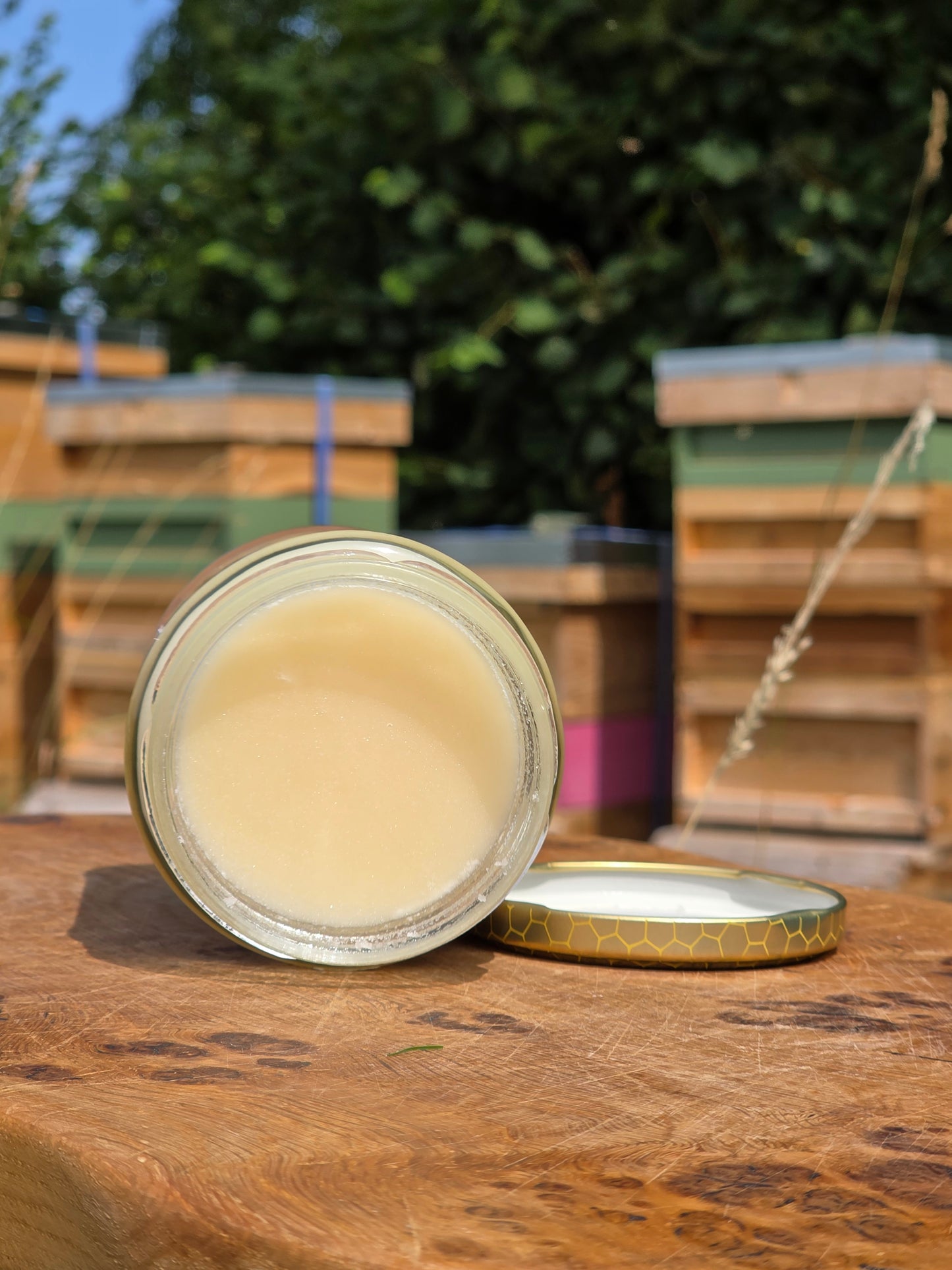 North Yorkshire Spring Oilseed Rape Honey (340g)