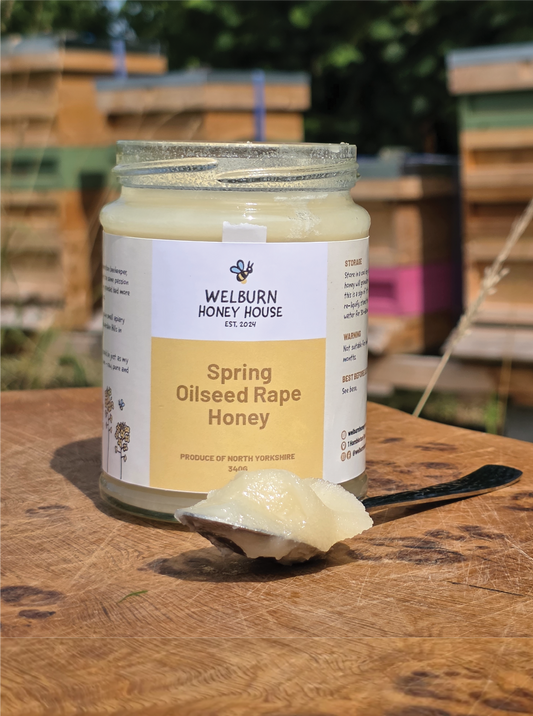 North Yorkshire Spring Oilseed Rape Honey (340g)